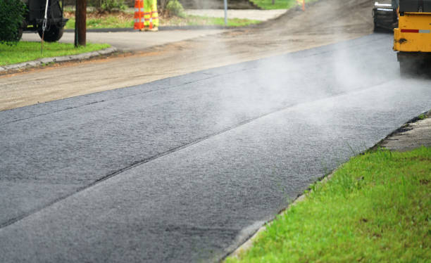 Best Local Driveway Pavers  in University, MS